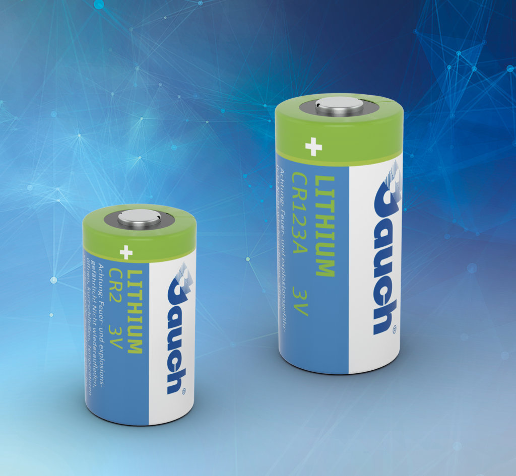 Zwei Lithium-Mangandioxid-Batterien