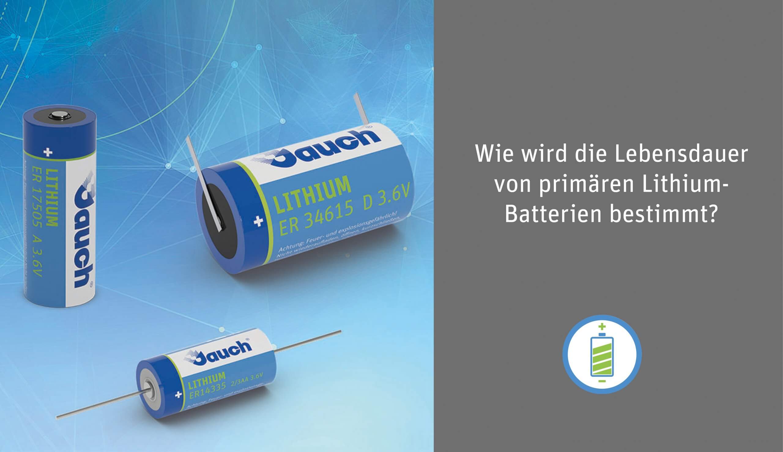 Wie wird die Lebensdauer von primären Lithium-Batterien bestimmt? – Jauch  Blog-Seite