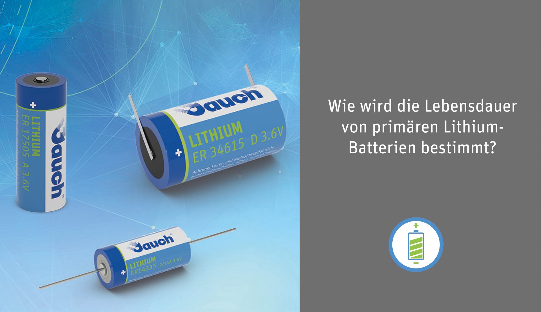 Wie wird die Lebensdauer einer primären Lithium-Batterie bestimmt?