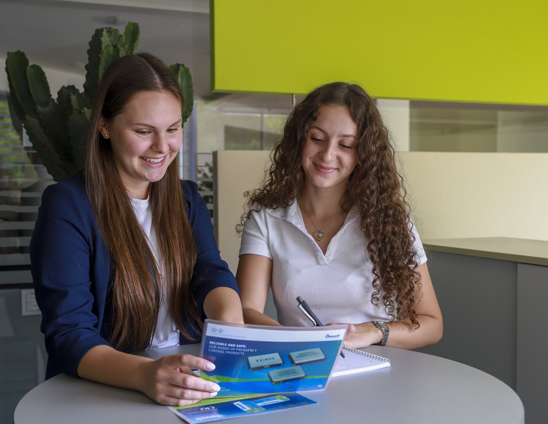 Apprenticeship experience: A glimpse behind the scenes of training at ...